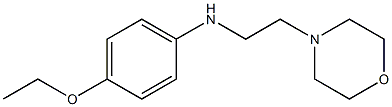 4-ethoxy-N-[2-(morpholin-4-yl)ethyl]aniline 구조식 이미지