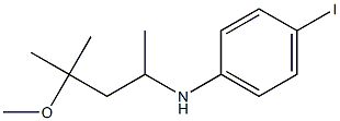 4-iodo-N-(4-methoxy-4-methylpentan-2-yl)aniline 구조식 이미지