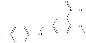 4-iodo-N-[(4-methoxy-3-nitrophenyl)methyl]aniline 구조식 이미지