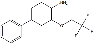 4-phenyl-2-(2,2,2-trifluoroethoxy)cyclohexanamine Structure