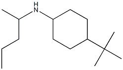 4-tert-butyl-N-(pentan-2-yl)cyclohexan-1-amine Structure