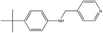 4-tert-butyl-N-(pyridin-4-ylmethyl)aniline 구조식 이미지