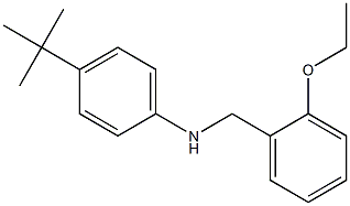 4-tert-butyl-N-[(2-ethoxyphenyl)methyl]aniline 구조식 이미지