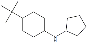 4-tert-butyl-N-cyclopentylcyclohexan-1-amine Structure