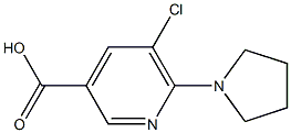 5-chloro-6-(pyrrolidin-1-yl)pyridine-3-carboxylic acid 구조식 이미지