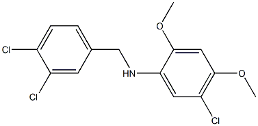 5-chloro-N-[(3,4-dichlorophenyl)methyl]-2,4-dimethoxyaniline Structure
