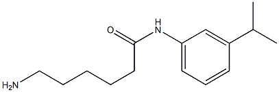 6-amino-N-[3-(propan-2-yl)phenyl]hexanamide Structure