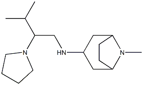 8-methyl-N-[3-methyl-2-(pyrrolidin-1-yl)butyl]-8-azabicyclo[3.2.1]octan-3-amine 구조식 이미지