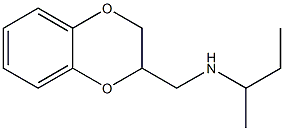 butan-2-yl(2,3-dihydro-1,4-benzodioxin-2-ylmethyl)amine Structure