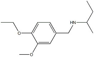 butan-2-yl[(4-ethoxy-3-methoxyphenyl)methyl]amine Structure