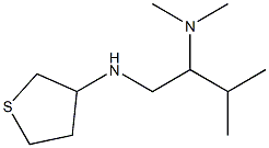 dimethyl[3-methyl-1-(thiolan-3-ylamino)butan-2-yl]amine Structure