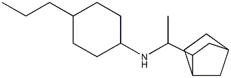 N-(1-{bicyclo[2.2.1]heptan-2-yl}ethyl)-4-propylcyclohexan-1-amine 구조식 이미지