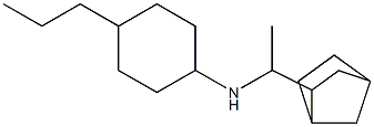 N-(1-{bicyclo[2.2.1]heptan-2-yl}ethyl)-4-propylcyclohexan-1-amine Structure