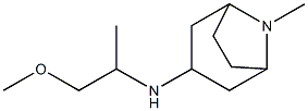 N-(1-methoxypropan-2-yl)-8-methyl-8-azabicyclo[3.2.1]octan-3-amine Structure