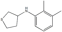 N-(2,3-dimethylphenyl)thiolan-3-amine 구조식 이미지