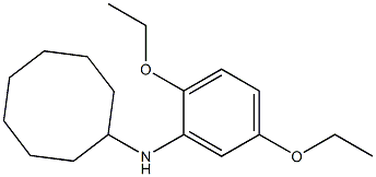 N-(2,5-diethoxyphenyl)cyclooctanamine 구조식 이미지