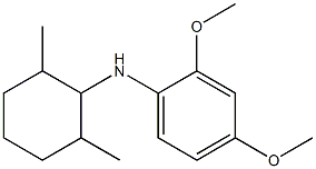 N-(2,6-dimethylcyclohexyl)-2,4-dimethoxyaniline 구조식 이미지