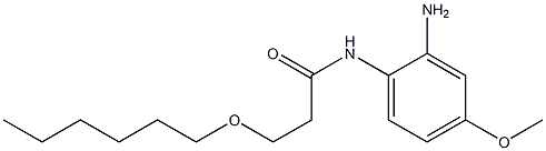 N-(2-amino-4-methoxyphenyl)-3-(hexyloxy)propanamide 구조식 이미지