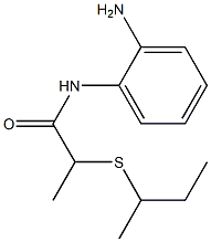 N-(2-aminophenyl)-2-(butan-2-ylsulfanyl)propanamide 구조식 이미지