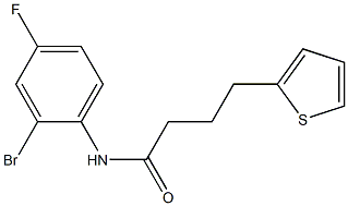 N-(2-bromo-4-fluorophenyl)-4-(thiophen-2-yl)butanamide 구조식 이미지