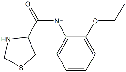 N-(2-ethoxyphenyl)-1,3-thiazolidine-4-carboxamide Structure