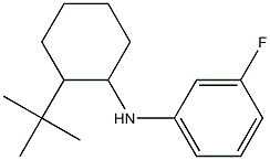 N-(2-tert-butylcyclohexyl)-3-fluoroaniline 구조식 이미지