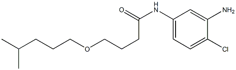 N-(3-amino-4-chlorophenyl)-4-[(4-methylpentyl)oxy]butanamide 구조식 이미지