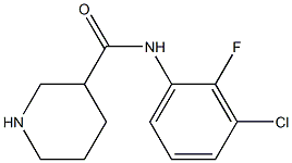 N-(3-chloro-2-fluorophenyl)piperidine-3-carboxamide 구조식 이미지