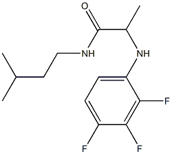 N-(3-methylbutyl)-2-[(2,3,4-trifluorophenyl)amino]propanamide 구조식 이미지