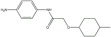 N-(4-aminophenyl)-2-[(4-methylcyclohexyl)oxy]acetamide Structure