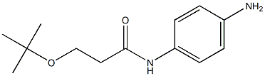 N-(4-aminophenyl)-3-(tert-butoxy)propanamide 구조식 이미지