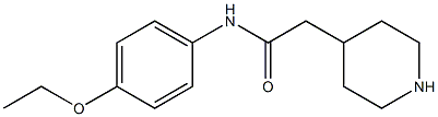 N-(4-ethoxyphenyl)-2-piperidin-4-ylacetamide 구조식 이미지