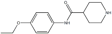 N-(4-ethoxyphenyl)piperidine-4-carboxamide 구조식 이미지