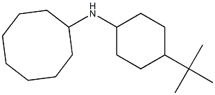 N-(4-tert-butylcyclohexyl)cyclooctanamine Structure