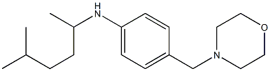 N-(5-methylhexan-2-yl)-4-(morpholin-4-ylmethyl)aniline Structure