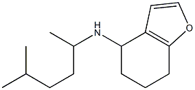 N-(5-methylhexan-2-yl)-4,5,6,7-tetrahydro-1-benzofuran-4-amine 구조식 이미지