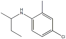 N-(butan-2-yl)-4-chloro-2-methylaniline Structure