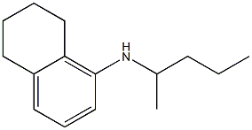 N-(pentan-2-yl)-5,6,7,8-tetrahydronaphthalen-1-amine 구조식 이미지