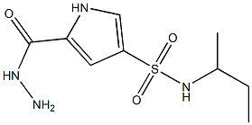 N-(sec-butyl)-5-(hydrazinocarbonyl)-1H-pyrrole-3-sulfonamide Structure