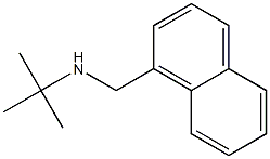 N-(tert-butyl)-N-(1-naphthylmethyl)amine 구조식 이미지