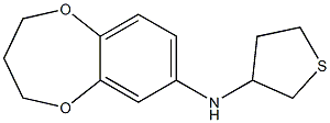 N-(thiolan-3-yl)-3,4-dihydro-2H-1,5-benzodioxepin-7-amine Structure