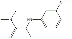 N,N-dimethyl-2-{[3-(methylsulfanyl)phenyl]amino}propanamide 구조식 이미지