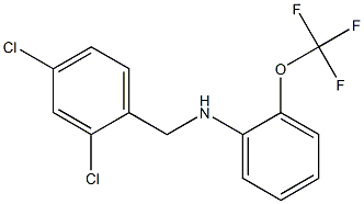 N-[(2,4-dichlorophenyl)methyl]-2-(trifluoromethoxy)aniline Structure