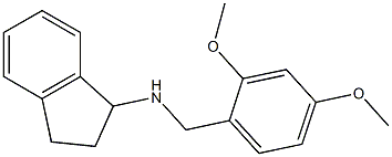 N-[(2,4-dimethoxyphenyl)methyl]-2,3-dihydro-1H-inden-1-amine 구조식 이미지