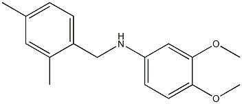 N-[(2,4-dimethylphenyl)methyl]-3,4-dimethoxyaniline 구조식 이미지