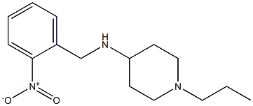 N-[(2-nitrophenyl)methyl]-1-propylpiperidin-4-amine 구조식 이미지