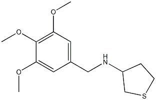 N-[(3,4,5-trimethoxyphenyl)methyl]thiolan-3-amine 구조식 이미지