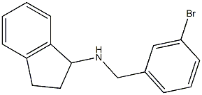 N-[(3-bromophenyl)methyl]-2,3-dihydro-1H-inden-1-amine Structure