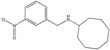 N-[(3-nitrophenyl)methyl]cyclooctanamine Structure