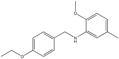 N-[(4-ethoxyphenyl)methyl]-2-methoxy-5-methylaniline 구조식 이미지